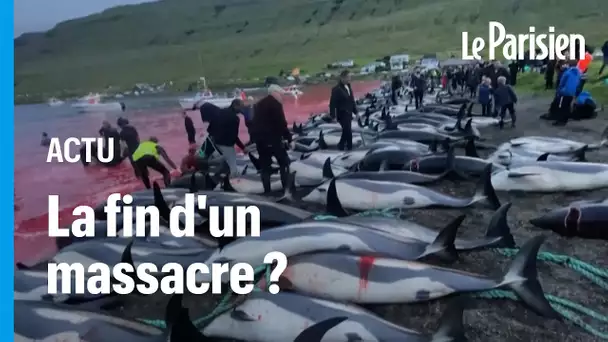 Vers la fin de la chasse aux dauphins aux îles Féroé ?