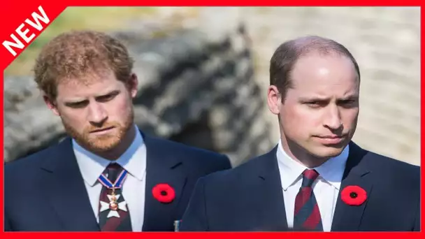 ✅  Harry et William en froid : le prince Louis impacté malgré lui…