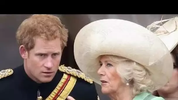 On ne peut que se demander ! » Les inquiétudes augmentent quant à la façon dont le prince Harry inca