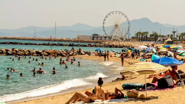 «Gravissime pour les écosystèmes» : l'eau de la Méditerranée est (encore) trop chaude