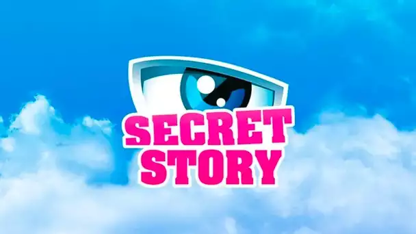 «Secret Story» présenté par Christophe Beaugrand et Laurent Ruquier de BFM TV à «Mask Singer»