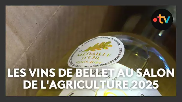 Les vins de Bellet à Paris, au salon de l'agriculture 2025