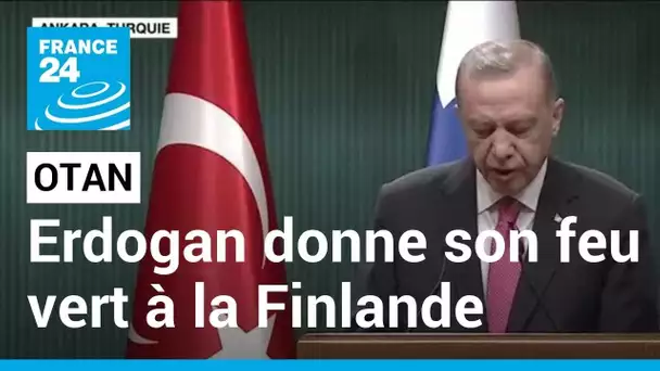 Otan : le président turc Recep Tayyip Erdogan donne son feu vert à la Finlande • FRANCE 24