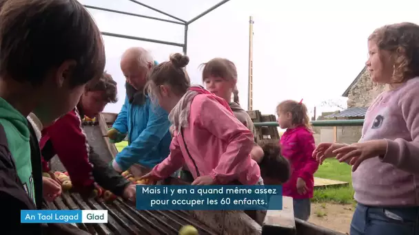 Des écoliers apprennent à presser des pommes. Edition An Taol Lagad du 10 octobre 2024