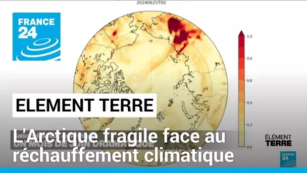 Feux de forêt dans le nord de la Russie: l'Arctique fragile face au réchauffement climatique