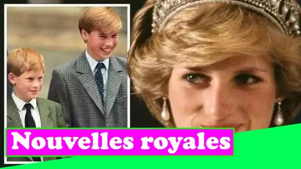 Le retour amusant de la princesse Diana sur la belle apparence de la famille royale