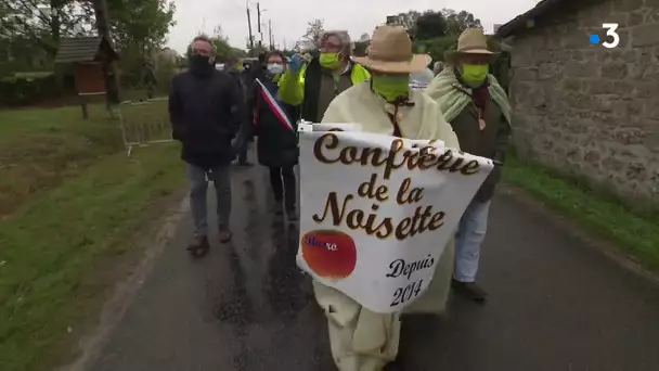 La Creuse veut ses noisettes