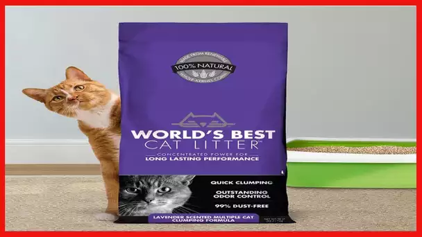 WORLD'S BEST CAT LITTER Multiple Cat Lavender Scented