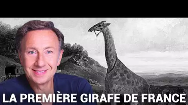 La véritable histoire de Zarafa, la première girafe de France, racontée par Stéphane Bern