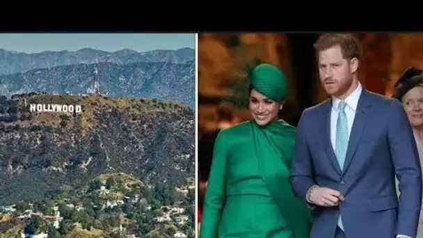 La popularité de Harry et Meghan "s'enfonce dans la terre" alors qu'ils perdent l'Amérique