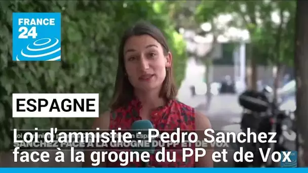 Loi d'amnistie pour les Catalans, P. Sanchez face à la grogne du PP et de Vox • FRANCE 24