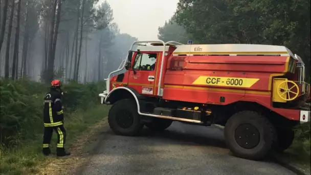 Incendies en Gironde: un homme placé en garde à vue ce lundi