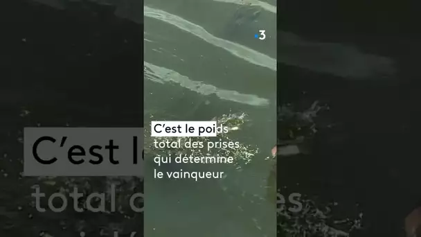 Un vice-champion du monde de pêche au coup