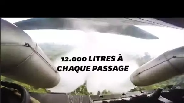 Des bombardiers d'eau enfin déployés contre les incendies au Brésil