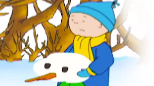 Caillou en français - Caillou détruit le bonhomme de neige | conte pour enfant | dessin anime