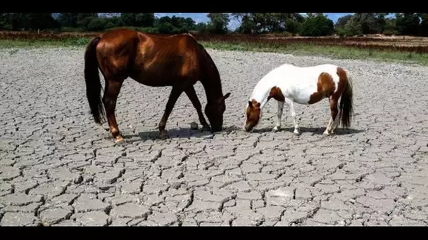 Pourquoi le changement climatique va faire grimper la facture des assurances