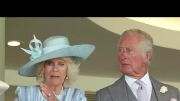 Prince Charles et Camilla : leur supposé fils illégitime, Simon Dorante-Day, apporte...