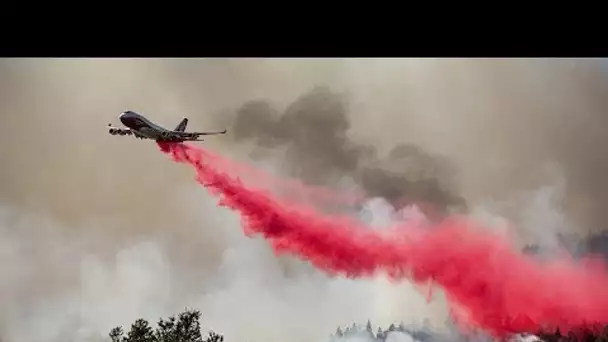 Californie : la Napa Valley menacée par un nouveau feu