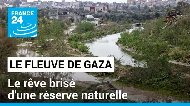 Wadi Gaza: Le rêve brisé d'une réserve naturelle • FRANCE 24