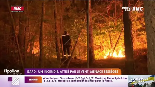 Incendie dans les Cévennes : 600 hectares de végétation ont été détruits