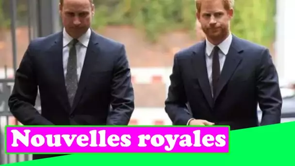 Harry et William vont « faire preuve de courage » lors du dévoilement de la statue de Diana – les fr