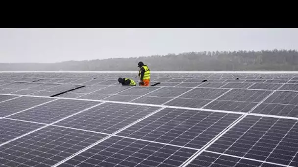 Pologne : début de la construction d'un immense parc photovoltaïque