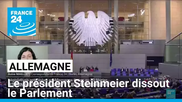 Allemagne : le président Steinmeier dissout le Parlement • FRANCE 24