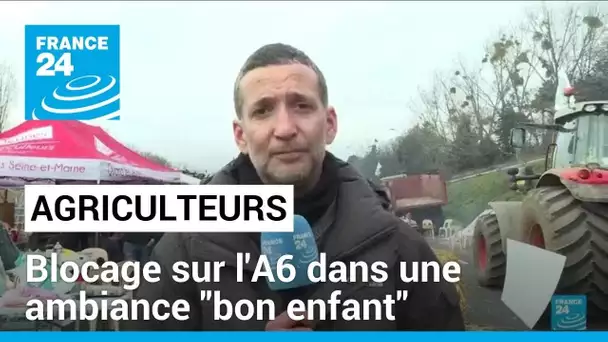 Colère des agriculteurs : blocage sur l'A6 dans une ambiance "bon enfant" • FRANCE 24