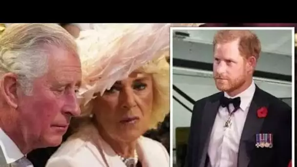 Les mémoires du prince Harry menacent la popularité de Camilla's Consort "Ça ne va pas être bon!"