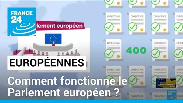 Élections européennes : comment fonctionne le Parlement européen ? • FRANCE 24