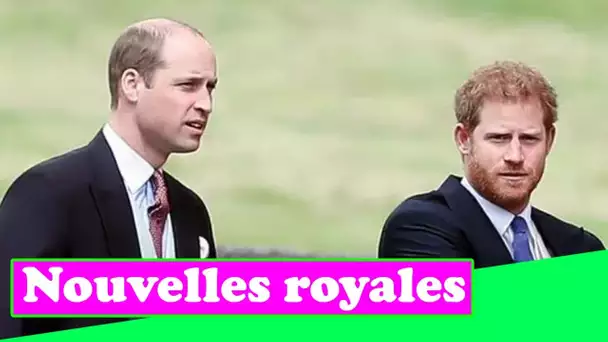 Le prince Harry et le prince William tiendront une réunion privée après des «mois» de collaboration