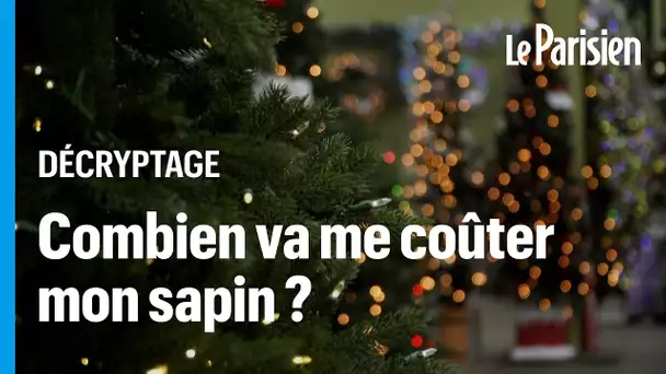 Pourquoi illuminer votre sapin de Noël vous coûtera 28 centimes par jour ?