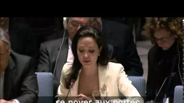 L'appel vibrant d'Angelina Jolie pour les réfugiés syriens à l'ONU