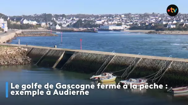 Le golfe de Gascogne fermé à la pêche : exemple à Audierne