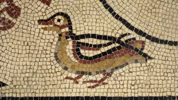 Cinq pièces du musée Vesunna (2/5) : La mosaïque