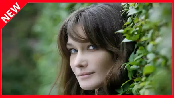 ✅  Quand Carla Bruni quémandait de l’argent à François Hollande