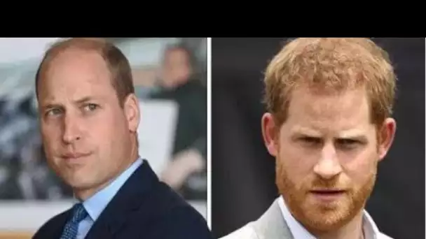 Héroïsme royal: comment le prince William a sauvé le prince Harry d'un moment de "détresse"