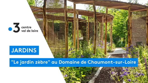 "Le jardin zèbre"  au domaine de Chaumont-sur-Loire