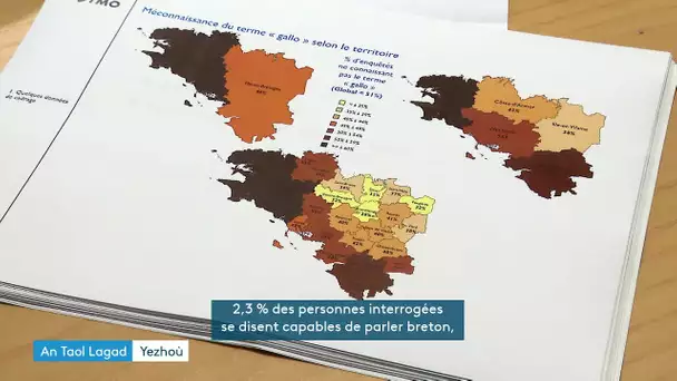 Des locuteurs de breton beaucoup moins nombreux mais plus jeunes. An Taol Lagad du 21 janvier 2025