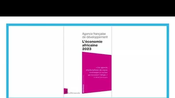 Crise mondiale et changement climatique : quels impacts économiques en Afrique ? • FRANCE 24