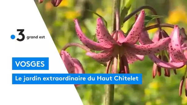 Vosges : le jardin extraordinaire du Haut Chitelet