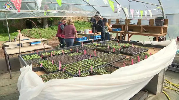 Agriculture : une nouvelle ferme pédagogique pour l'association Happy Cultors