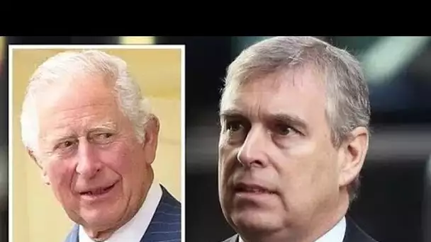 Le prince Andrew a tenté de "pousser" Charles hors de la succession pour être "régent"