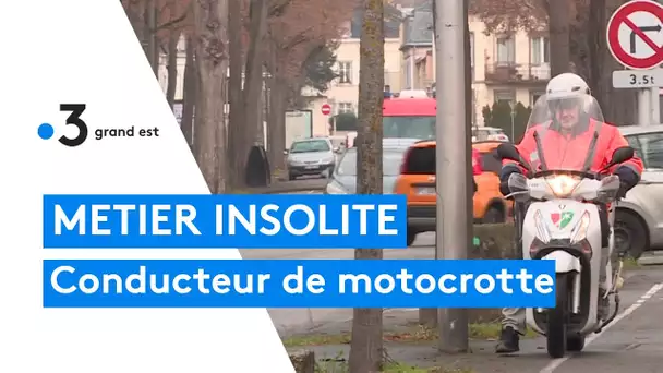 Insolite : le métier de conducteur de motocrotte