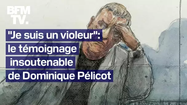 "Je suis un violeur": le témoignage insoutenable de Dominique Pélicot au procès des viols de Mazan