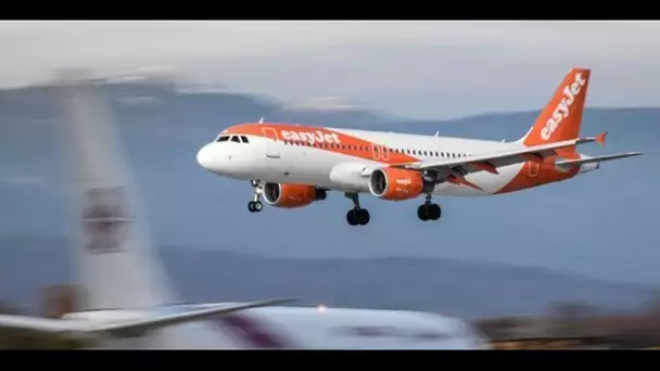 Easyjet promet des vols neutres en carbone : vraie avancée ou coup de communication ?