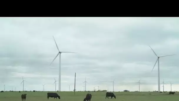 Le Texas, poids lourd méconnu de l'énergie éolienne