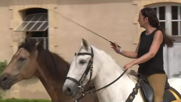 Programme de la Journée du cheval de Pompadour