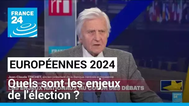 Européennes 2024 : pouvoir d'achat, immigration... quels sont les enjeux de l'élection ?