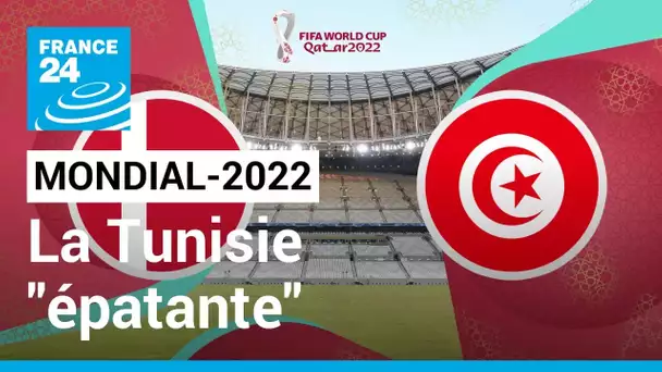 Mondial-2022 : "Une équipe tunisienne épatante" face au Danemark • FRANCE 24